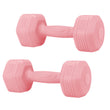 2*2kg Dumbbells Set Dumbbells Strength Training Workout Fitness Fitness Workout Strength Training Lightweight Dumbbells Versatile Fitness Gear