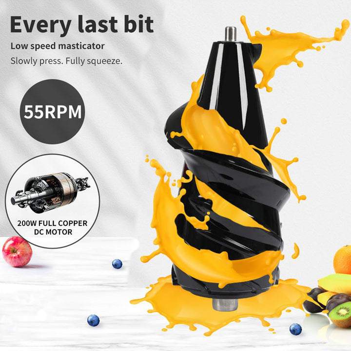 Taylor & Brown Juicer Machines, Slow Juicer Masticating Juicer, Cold Press Juicer with Quiet Motor & Reverse Function for Fresh Healthy Fruits and Vegetables Juice, Easy to Clean with Brush