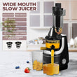 Taylor & Brown Juicer Machines, Slow Juicer Masticating Juicer, Cold Press Juicer with Quiet Motor & Reverse Function for Fresh Healthy Fruits and Vegetables Juice, Easy to Clean with Brush