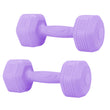 2*2kg Dumbbells Set Dumbbells Strength Training Workout Fitness Fitness Workout Strength Training Lightweight Dumbbells Versatile Fitness Gear