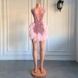 Luxury Sheer Neckline  Cocktail feather pink Dress