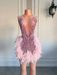 Luxury Sheer Neckline  Cocktail feather pink Dress