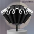 Fully Automatic Folding Reverse Umbrella
