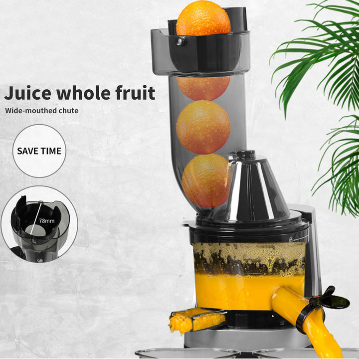 Taylor & Brown Juicer Machines, Slow Juicer Masticating Juicer, Cold Press Juicer with Quiet Motor & Reverse Function for Fresh Healthy Fruits and Vegetables Juice, Easy to Clean with Brush